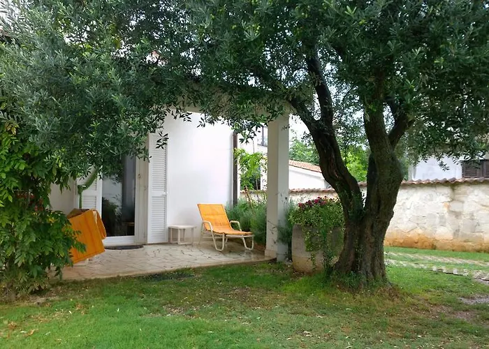 公寓 Free Parking Big Garden *