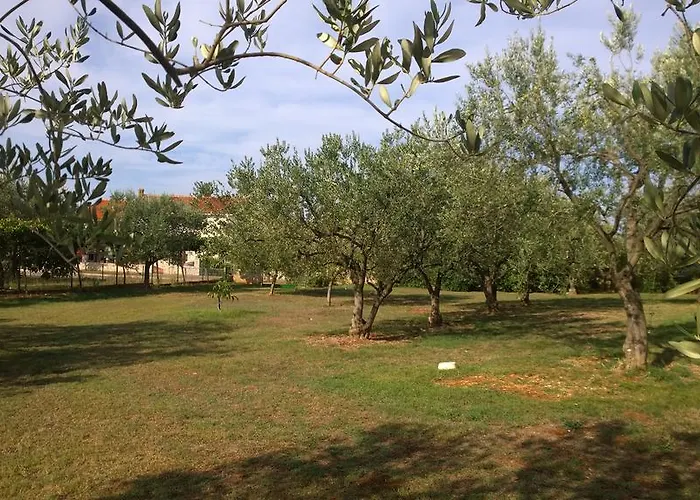 Free Parking Big Garden Apartament Peroj