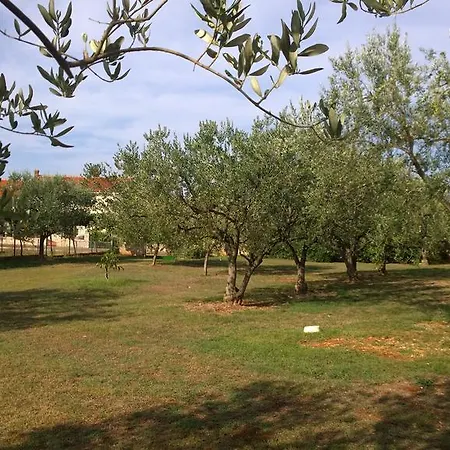 Free Parking Big Garden Apartment Peroj